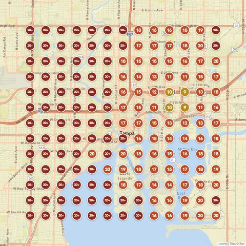 Before: Plumber in Tampa, FL, Google Maps ranking grid mostly red